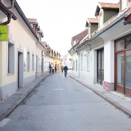 The Cute, Sunny Apartment In The Center +P Ljubljana Bagian luar foto