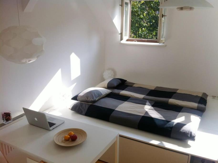 The Cute, Sunny Apartment In The Center +P Ljubljana Bagian luar foto