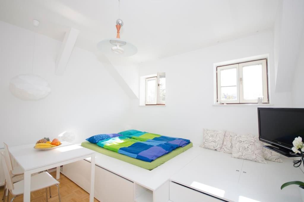 The Cute, Sunny Apartment In The Center +P Ljubljana Bagian luar foto
