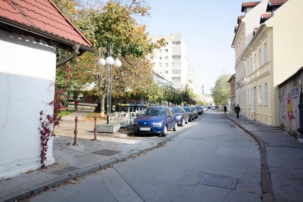 The Cute, Sunny Apartment In The Center +P Ljubljana Bagian luar foto