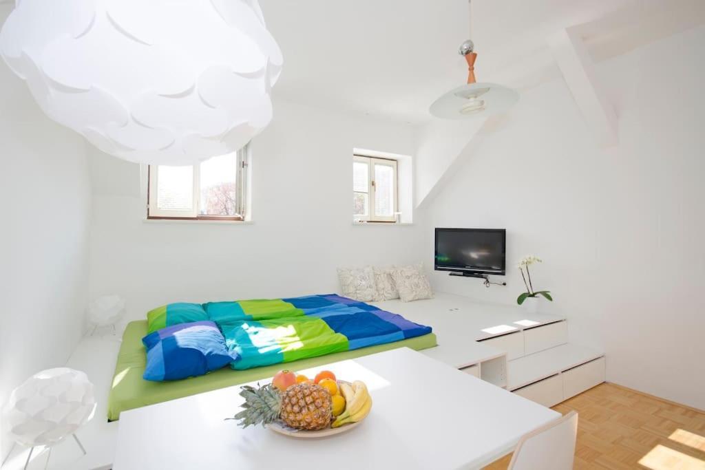 The Cute, Sunny Apartment In The Center +P Ljubljana Bagian luar foto