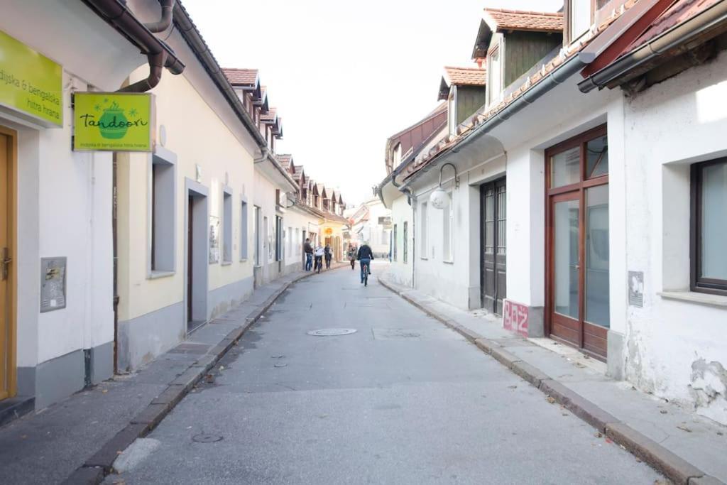 The Cute, Sunny Apartment In The Center +P Ljubljana Bagian luar foto