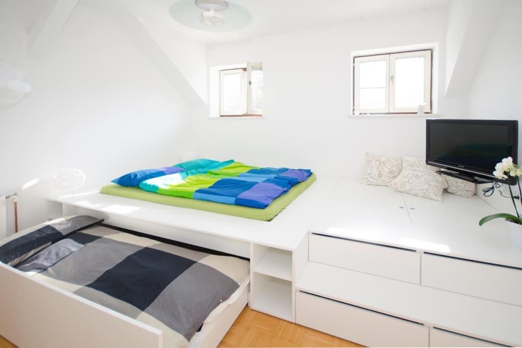 The Cute, Sunny Apartment In The Center +P Ljubljana Bagian luar foto